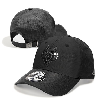 ��������� ���������� ������