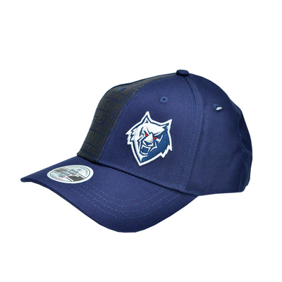 ��������� �������