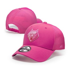 ��������� ���������� ������� � ������ � ����������� ����������